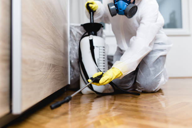 Wildlife Control Services in Du Quoin, IL