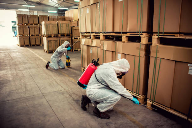 Best Pest Control for Homes  in Du Quoin, IL