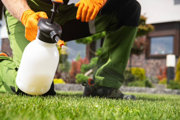 Best Local Pest Control Services  in Du Quoin, IL