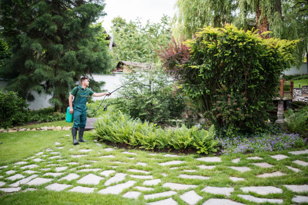 Best Commercial Pest Control Services  in Du Quoin, IL