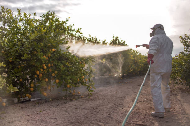 Best Pest Control Near Me  in Du Quoin, IL
