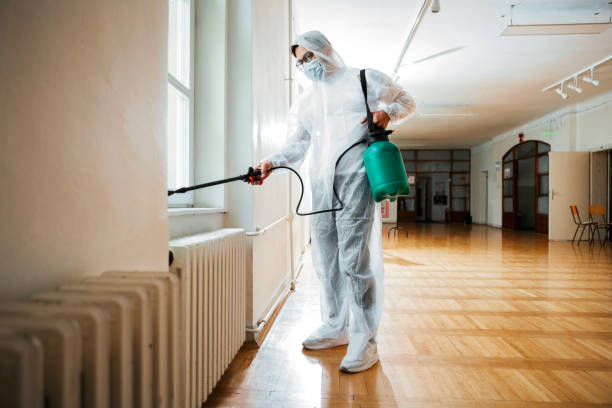 Trusted Du Quoin, IL Pest Control Experts