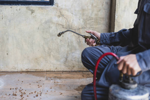 Best Termite Control Services  in Du Quoin, IL